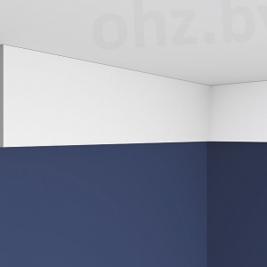 Молдинг 6.51.419